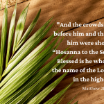 Jesus' Tough Words On Palm Sunday